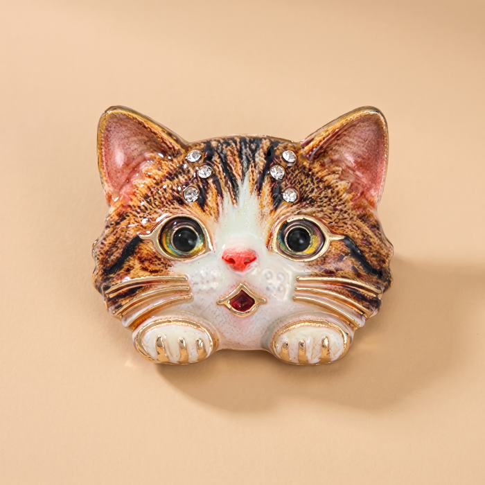 Broche Chat