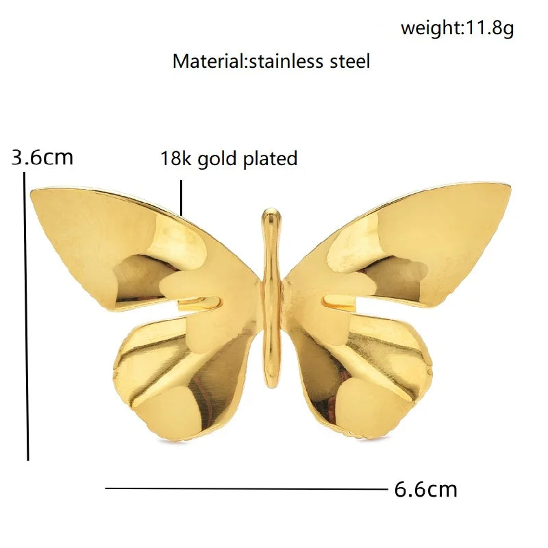 Broche Papillon · Acier