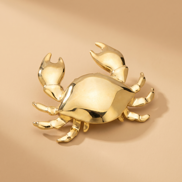 Broche Crabe · Acier
